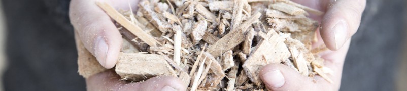 Biomasseverwertung